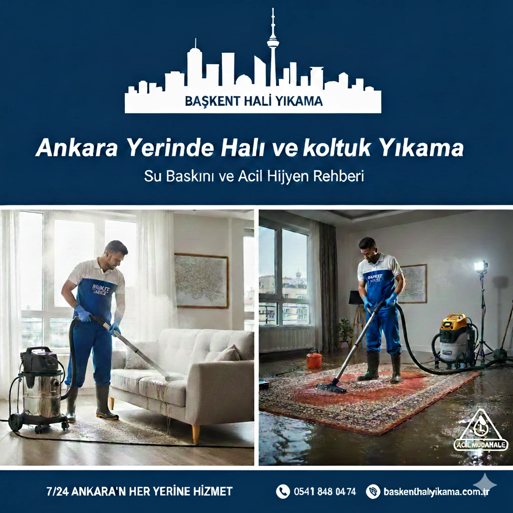 Ankara Yerinde Halı ve Koltuk Yıkama ait resim